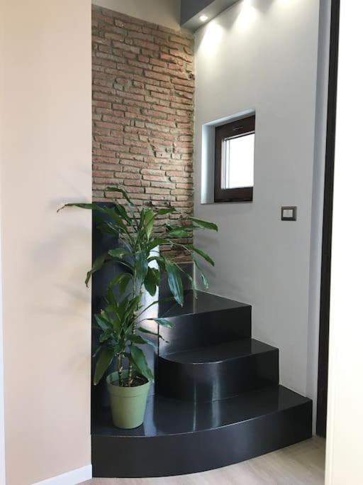 Domus 25 Villa Katanya Dış mekan fotoğraf